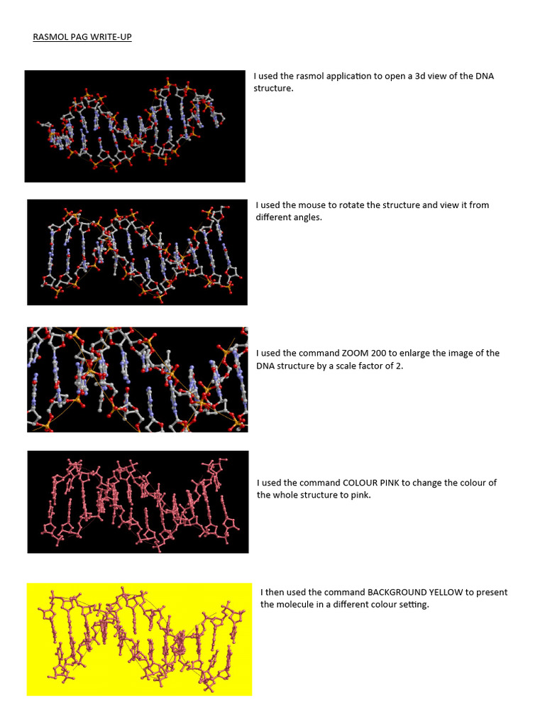 Rasmol Bio Pag | PDF | Science & Mathematics