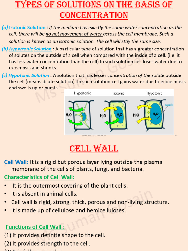 Ch5 Cell Class Notes From 13th May, 2024 | PDF | Endoplasmic Reticulum ...