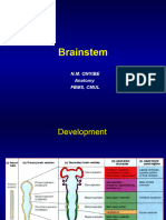 Brainstem BSC