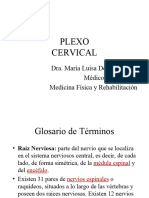 Plexo Cervical 30 Agosto 2017