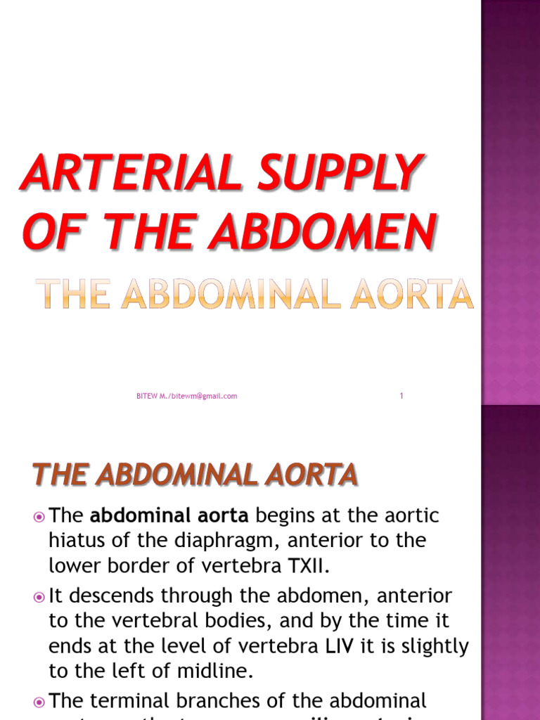 Arterialsupplyoftheabdomen Aorta PPT 130626040533 Phpapp01 | PDF ...