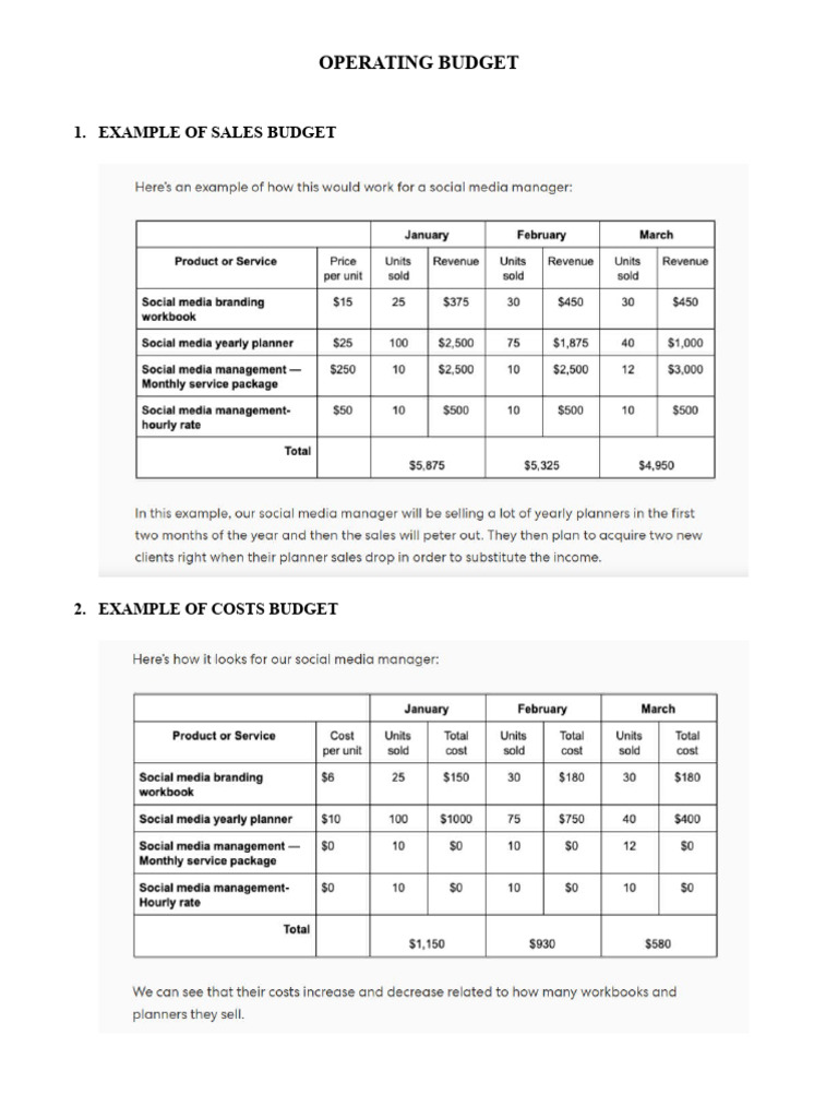 Operating Budget | PDF | Business | Finance & Money Management