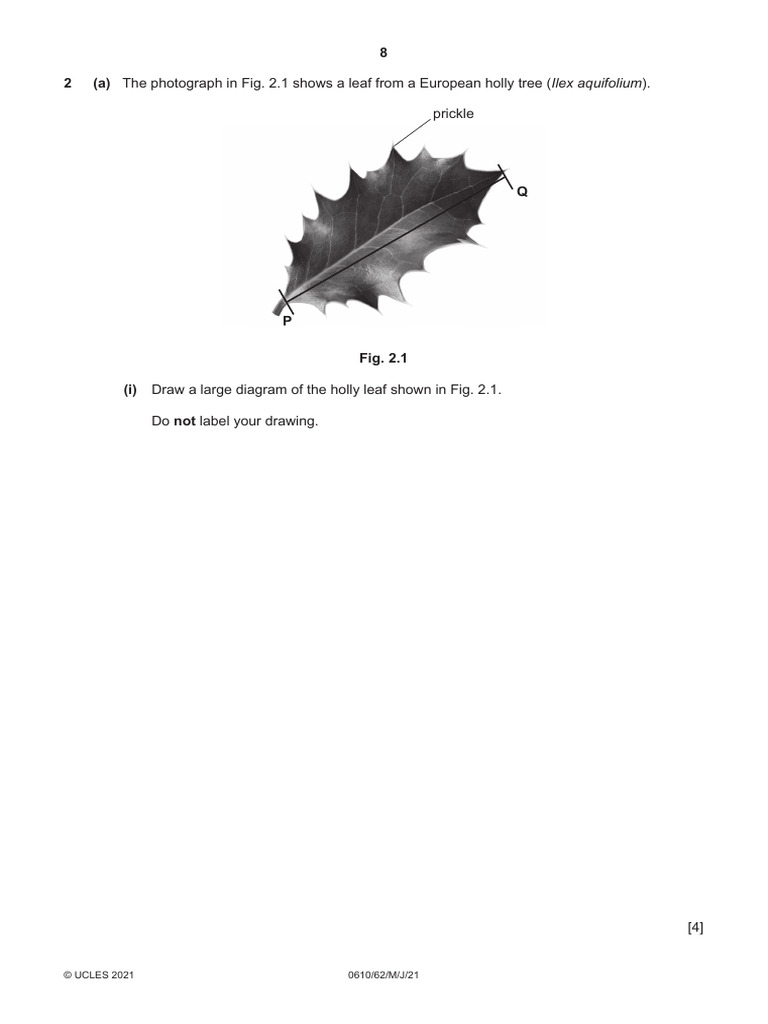 Bio Atp Worksheet Savemyexams PDF Small Intestine Organ (Anatomy)