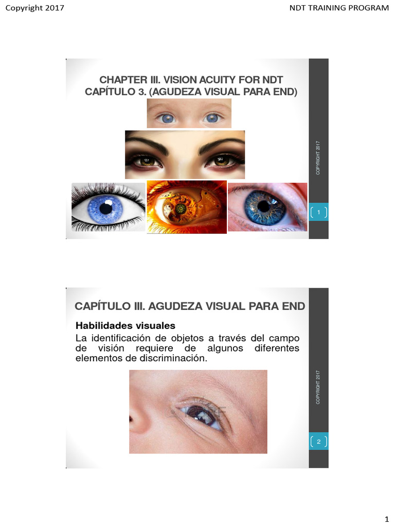 003 Capitulo 3 Vision Humana | PDF | Ojo humano | Percepción visual