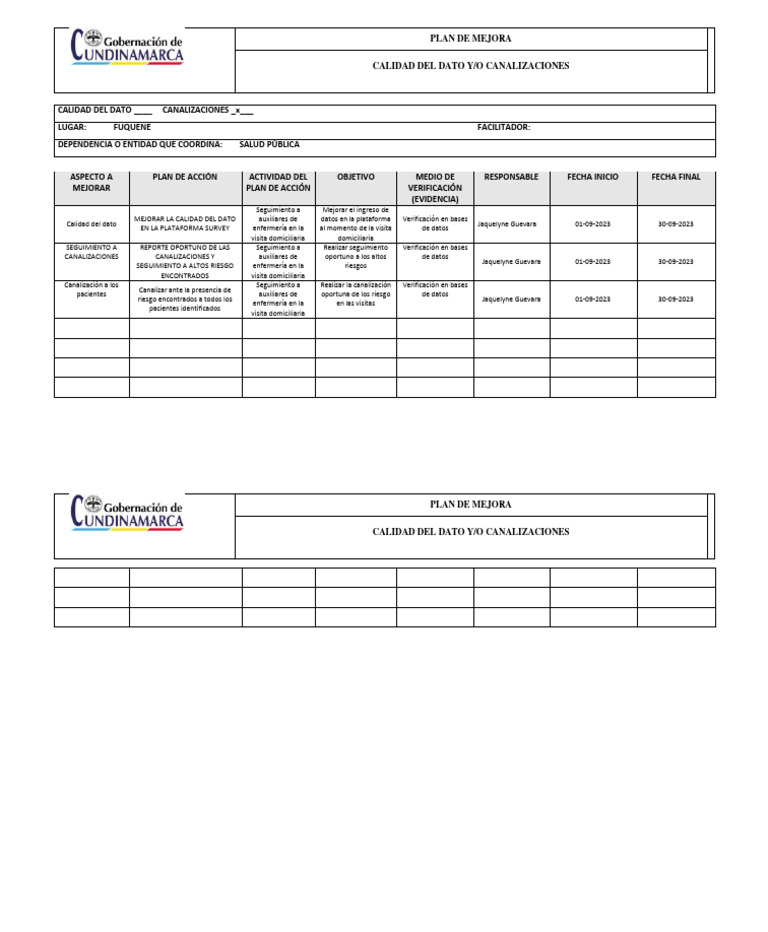 Plan de Mejora: Calidad de Datos y Canalizaciones | PDF | Cuidado de la ...