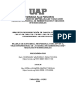 Tesis - Proyecto - Exportación - Chocolate 60% - Cacao - Tableta - Relleno - Camu Camu - Deshidratado - Países - Bajos