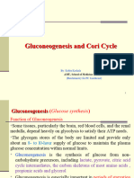 Gluconeogenesis & Cori Cycle