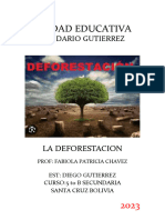 Monografia Deforestacion