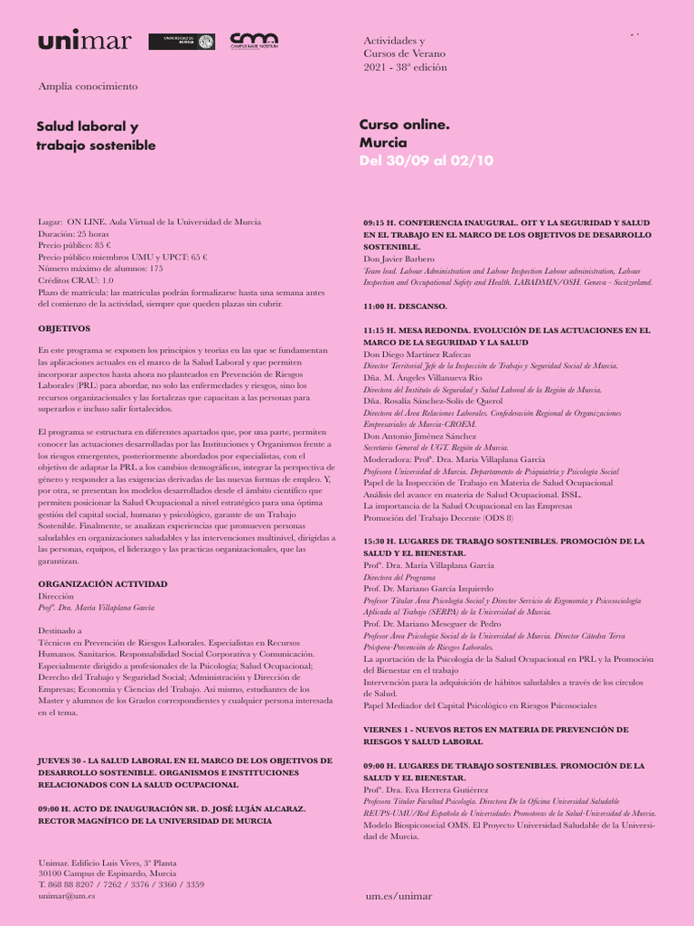 Programa salud laboral1 descargar gratis pdf seguridad y salud
