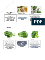 Plantas Medicinales. Ornamentale, Alimenticias e Industriales y Su Utilidad