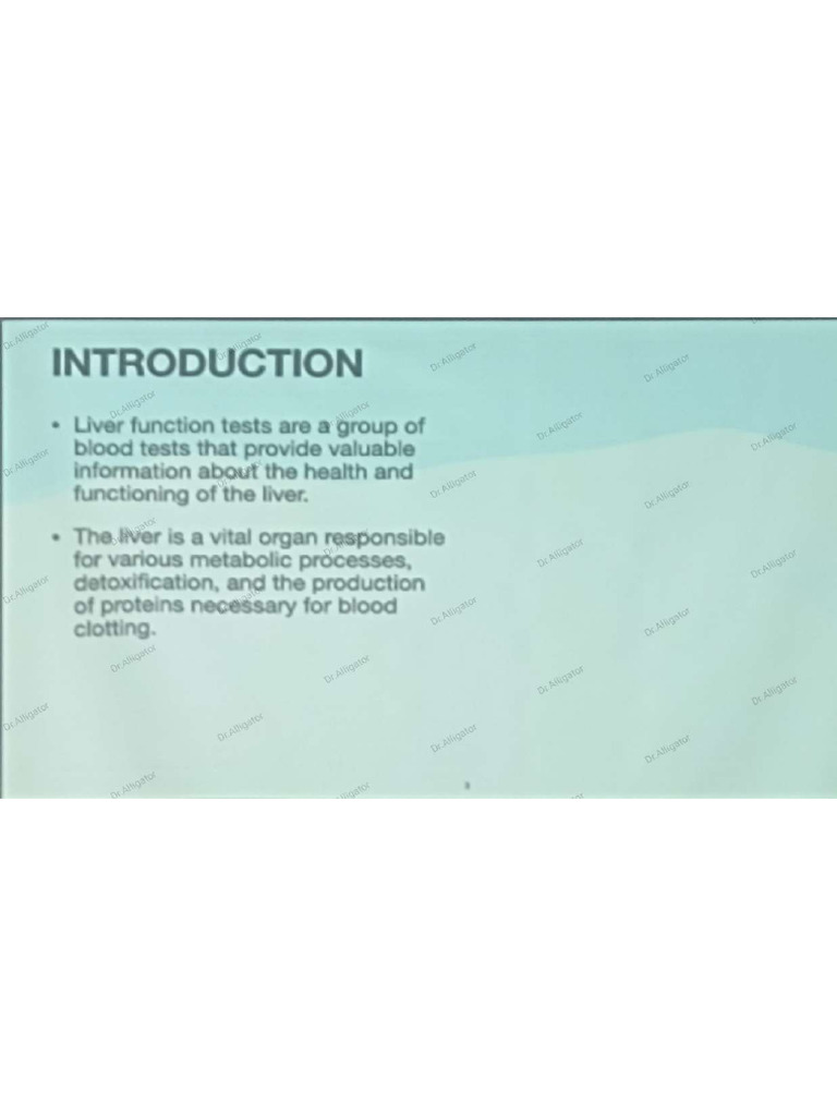 Liver Function Test PDF