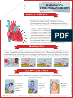 Reanimacion Cardipulmonar