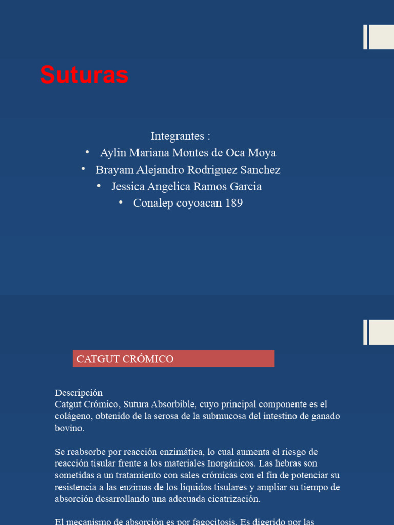 Tipos De Suturas Pdf Sutura Quirúrgica Seda