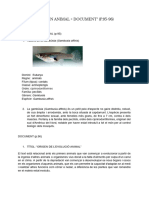 Descripció D'un Animal + Document