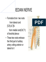 UL Median Nerve