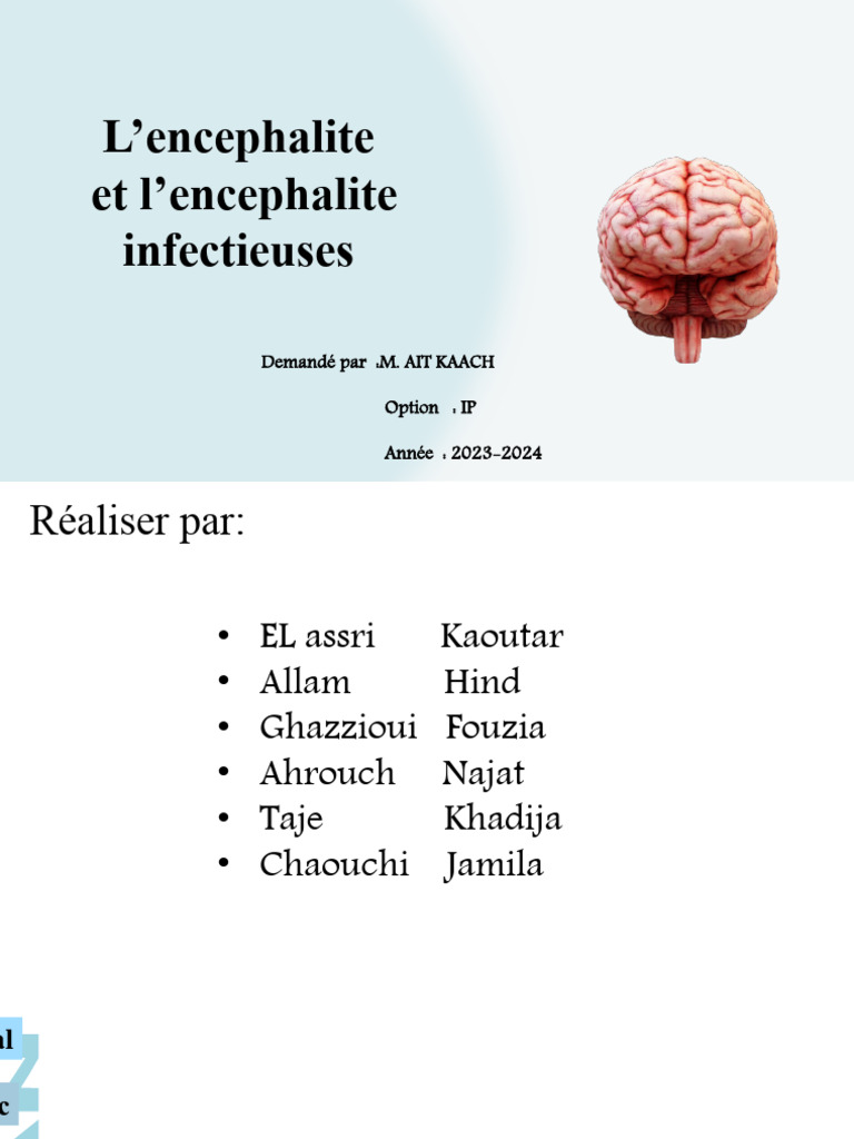 Encéphalite Et Encéphalite D'origine Infectieuse | PDF | Maladies et ...