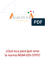 NOM035-1 Qué Es y para Qué Sirve La Norma NOM-035-STPS