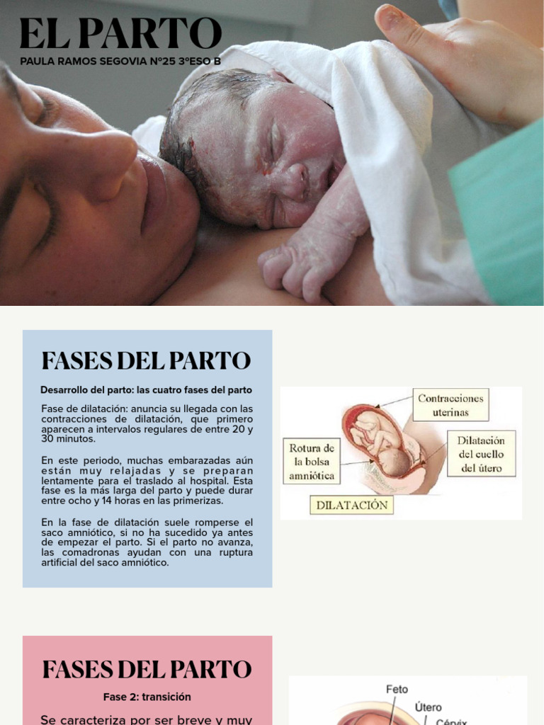 EL PARTO | PDF | Parto | Embarazo Mamífero