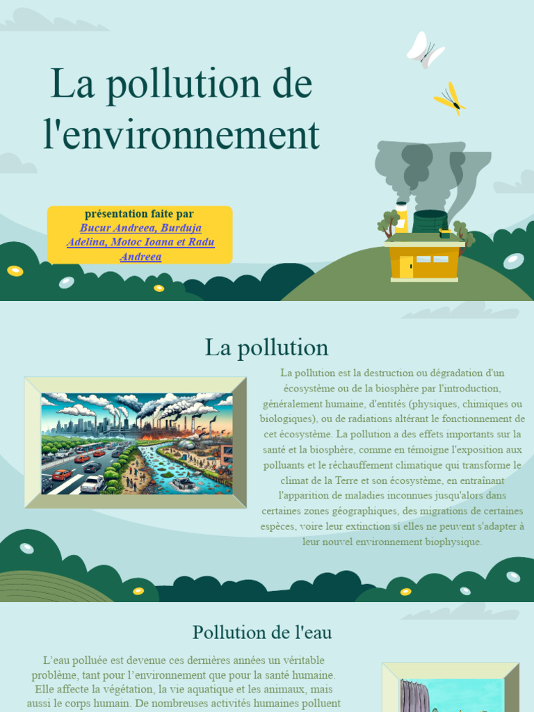 Impact de la Pollution sur l'Environnement | PDF | Pollution de l'air ...