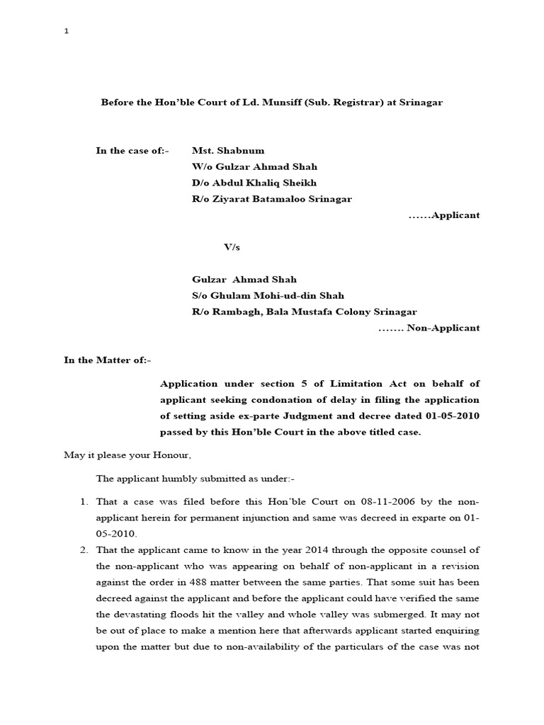 application-for-section-5-of-condonaton-of-delay-pdf-legal