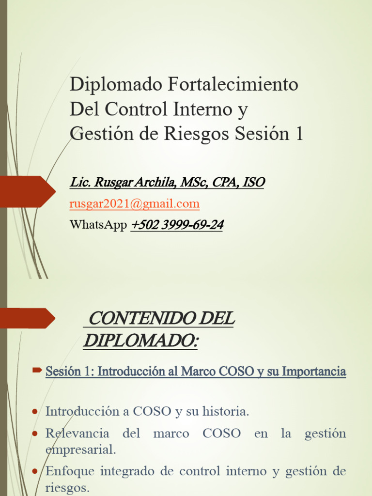 Diplomado en Control Interno y COSO | PDF | Riesgo | Business
