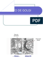 Complexo de Golgi