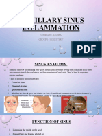 Maxillary Sinus Inflammation