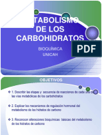 METABOLISMO DE CARBOHIDRATOS Bioca