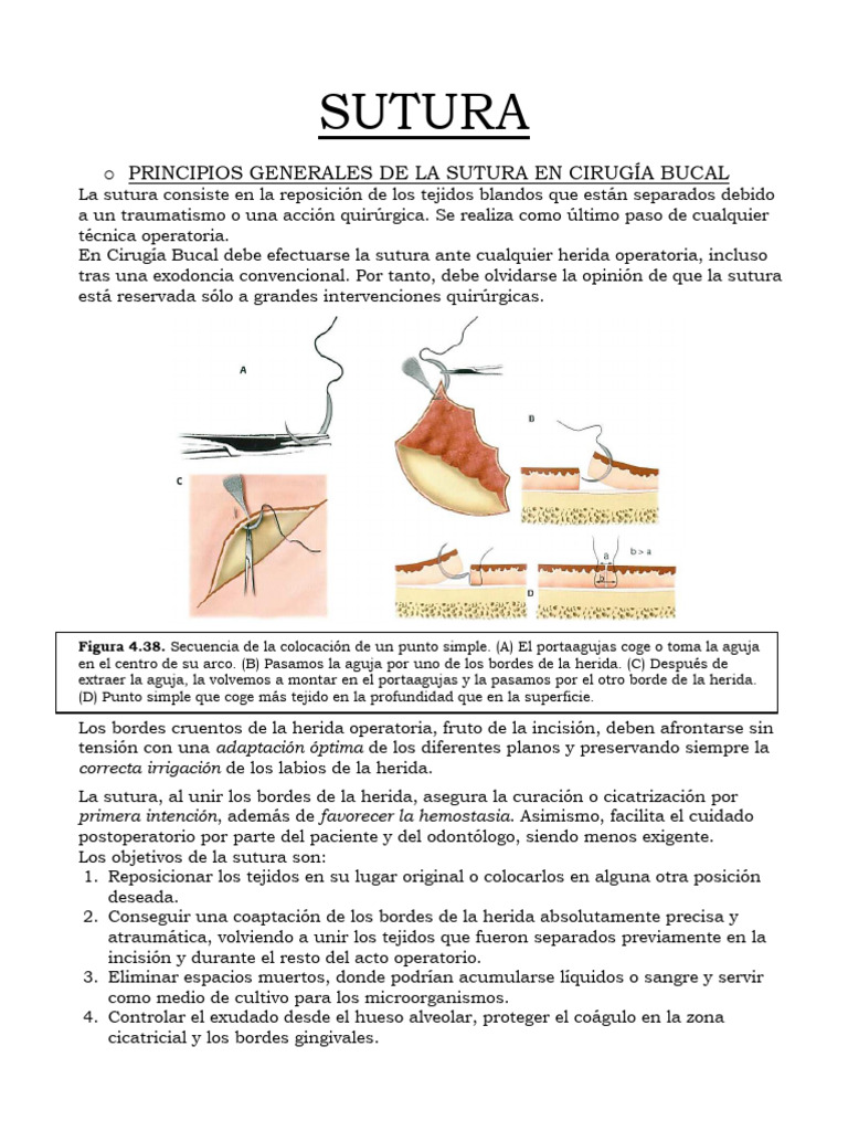 10 Sutura Descargar Gratis Pdf Herida Cirugía