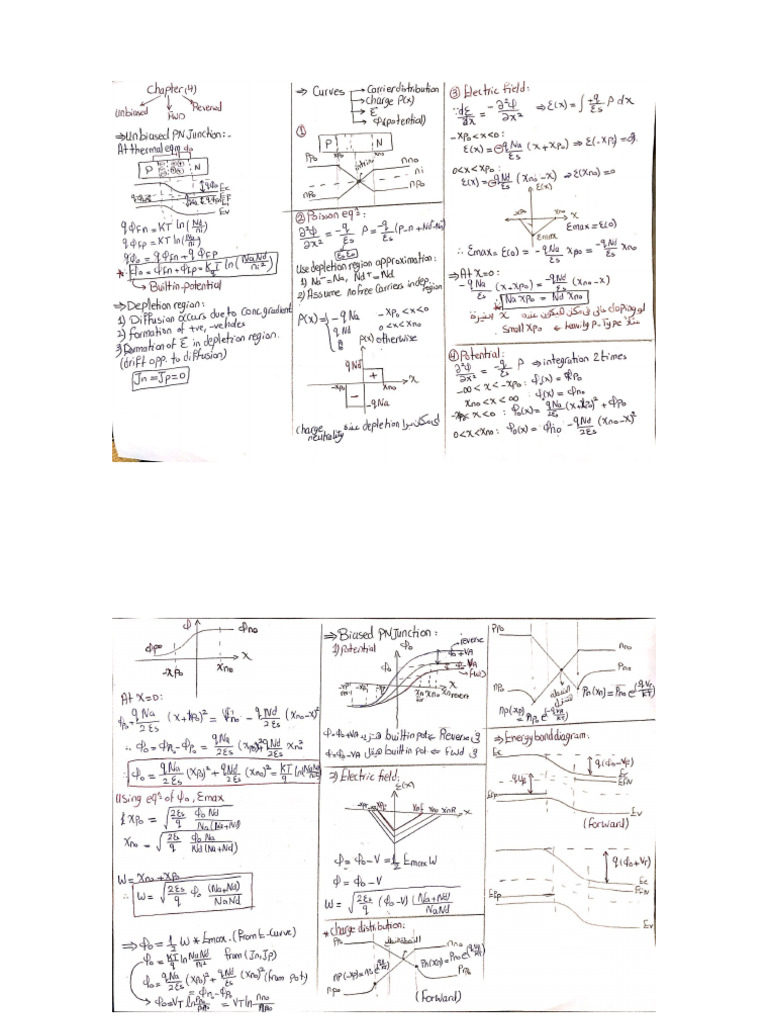 Summary (The Whole Syllabus) | PDF
