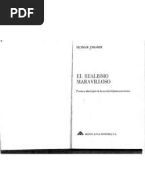 camisa pierre realis