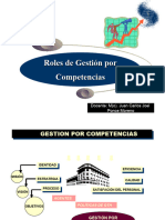23 Roles Gestion Competencia