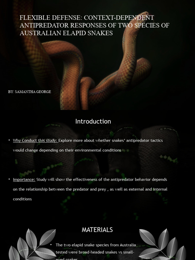 Antipredator Behavior in Australian Snakes | PDF | Predation | Snake