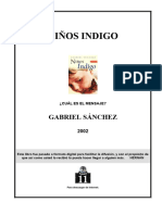 Sánchez, Gabriel - Niños Indigo