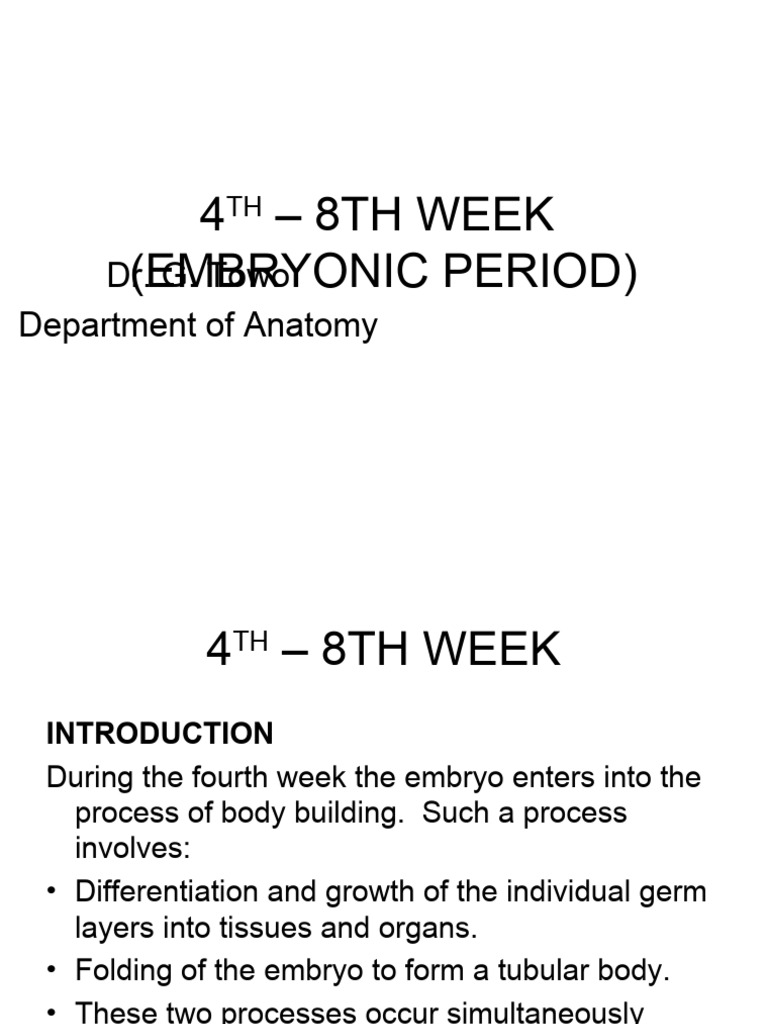 Embryonic Development: Weeks 4-8 Overview | PDF | Nervous System ...