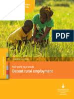 FAO Work To Promote Decent Rural Employment