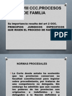 Proceso Flia Nuevo