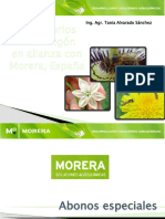 Presentación Morera-Actual