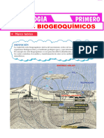 Ciclos Biogeoquímicos para Primero de Secundaria