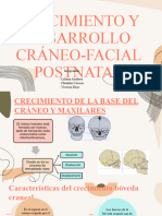 Crecimiento craneo-facial postnatal
