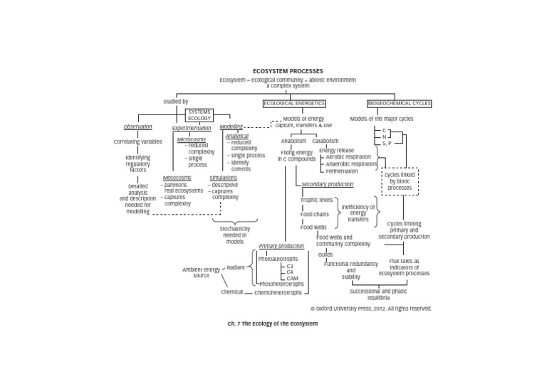 Beeby Map ch07 | PDF | Ecology | Ecosystem