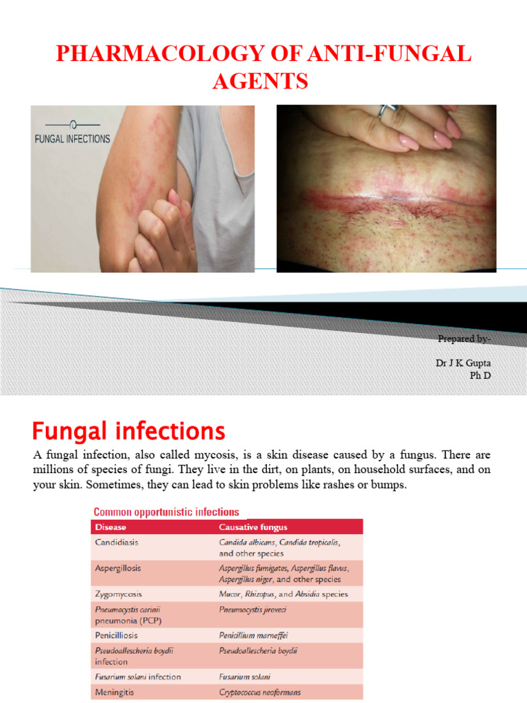 Pharmacology of Anti-Fungal Agents | PDF | Drugs | Medical Specialties