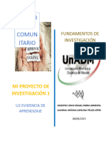 Mi Problema de Investigación