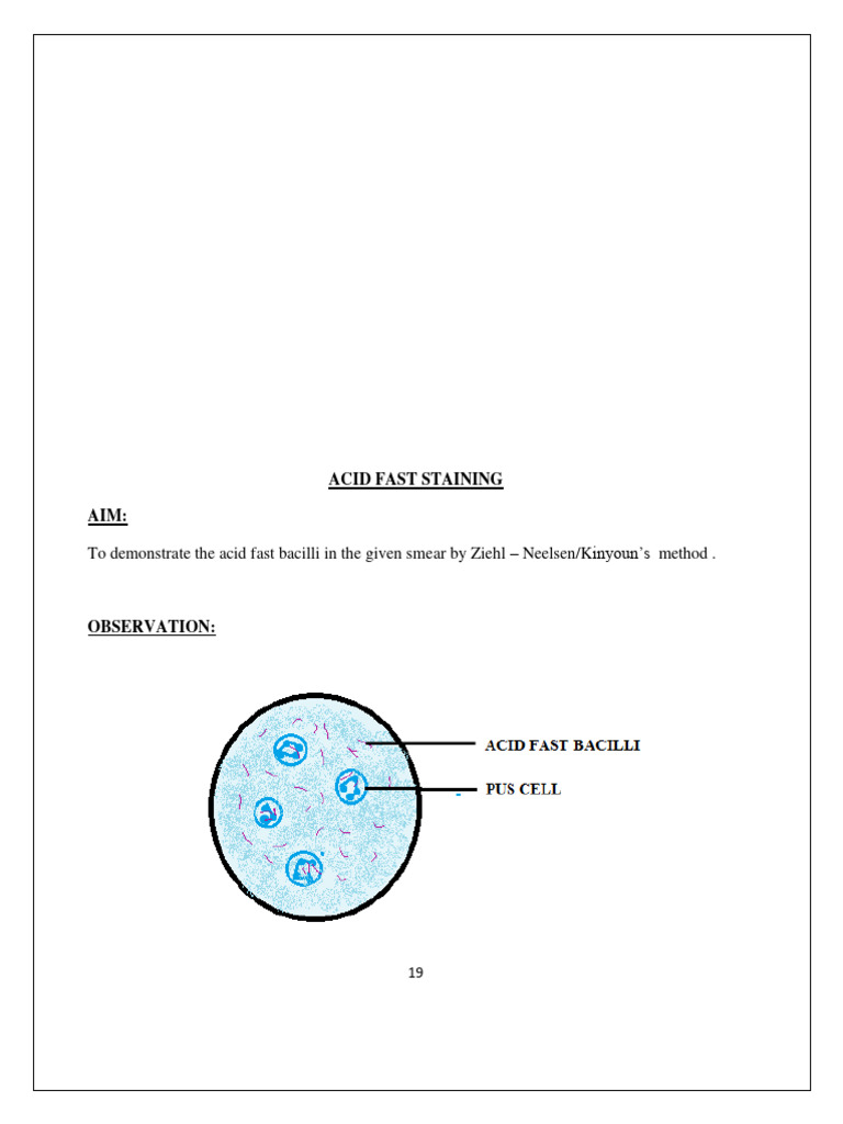 Afb Staining | PDF | Staining | Tuberculosis