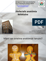 Emailing Maxillofaciális-Anatómia-2015