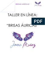 Manual Brisas Áuricas