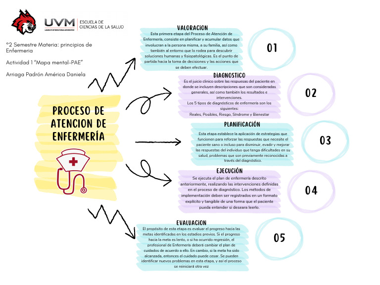 Mapa Mental Pae | PDF | Enfermería | Cuidado de la salud