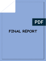 Final Report