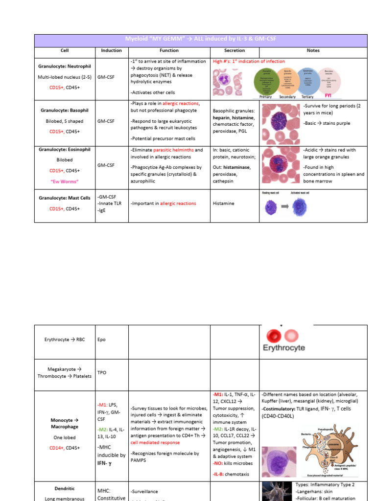 Cell - Cytokine Tables | PDF | T Helper Cell | Macrophage