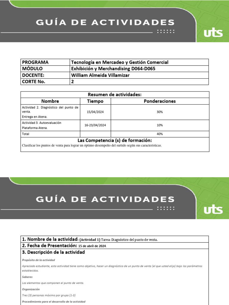 Diagnóstico de Punto de Venta en Merchandising | PDF